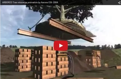 Arborco tree removal - corporate video animation